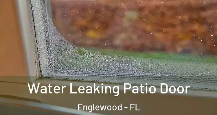  Water Leaking Patio Door Englewood - FL